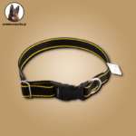 6e2db7b6f78d829fbef49bdd9d224e01