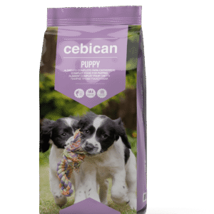 176dc1a2391d2cbfb0cc8c1bac305a33