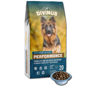 36488170a9c381142929c3f73feb6482