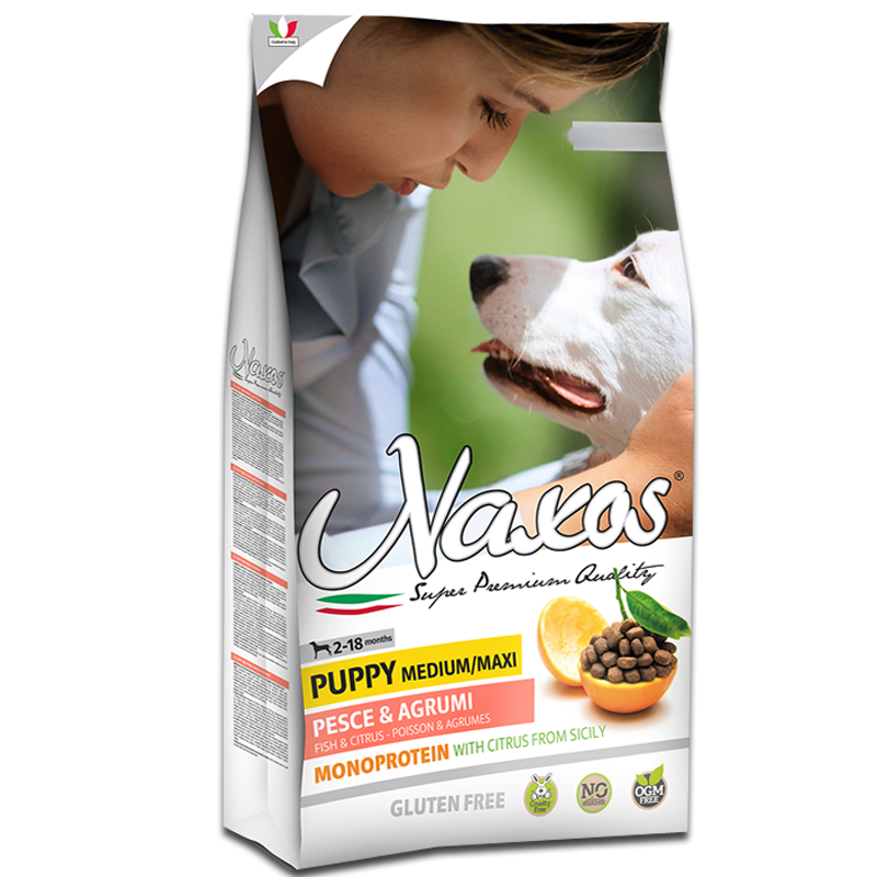 441.png b7ee828a8fa96ed128812a15018bae0a