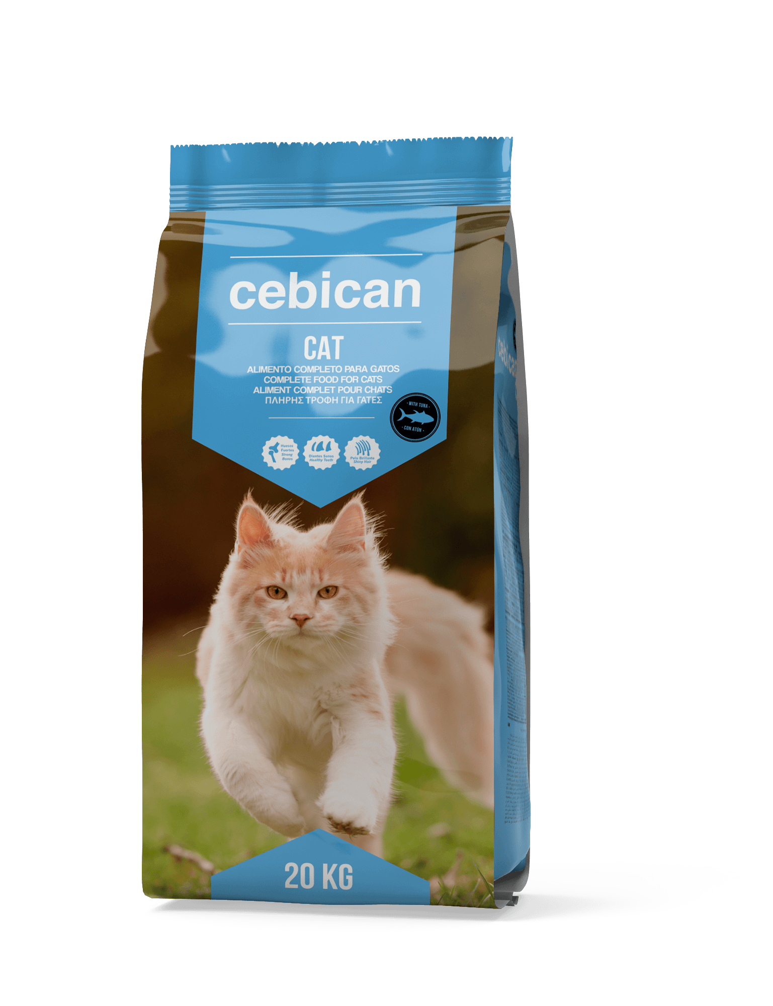 5_CEBICAN_CAT_PESCADO_1.png 600b629b3c9b8a92718cc611a4c360ae