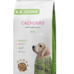 a579088d60a17e822e47c95dd6307d92