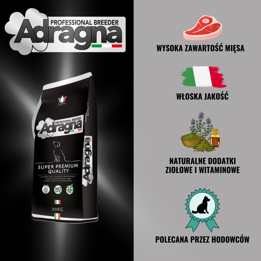 GRAFIKA_adragna.png 8661aa8e20b588728acb9e9403a913ef