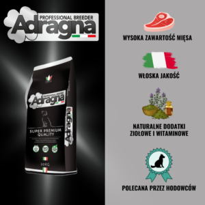 8661aa8e20b588728acb9e9403a913ef