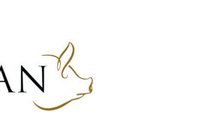 65454959e77b67a4d149cc886f287b01