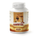 3cc0d2c6815fb03a9fc44d6fca761048