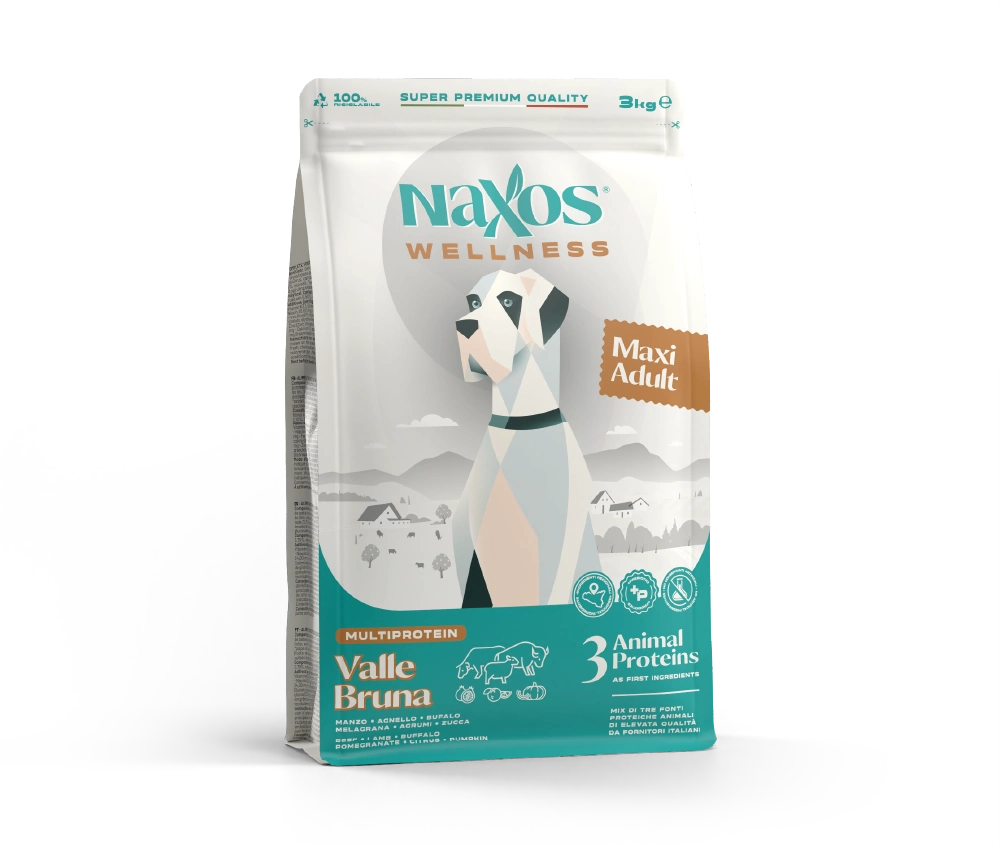 Maxi_Adult_VB_1.webp c1d55f1b8750401188fbd21e92639073