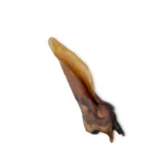 b51d6ceee36c51c154ffbf625025b760