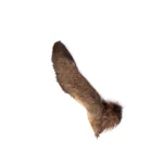 1d6804bbf6e1ce04ae241a49904bec28