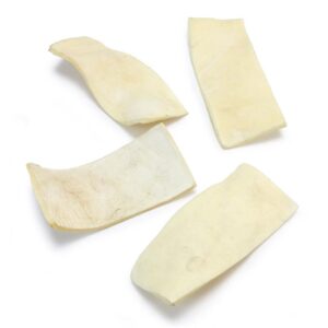 22a9fb0044b8f5869077614cb2d0d08d