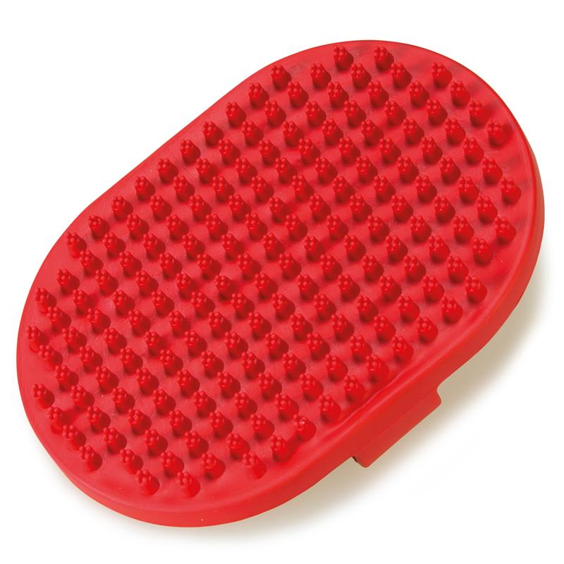 cepillo_de_gomafff_ovalado.jpg 9907e834932245adff2d11beec42ed15