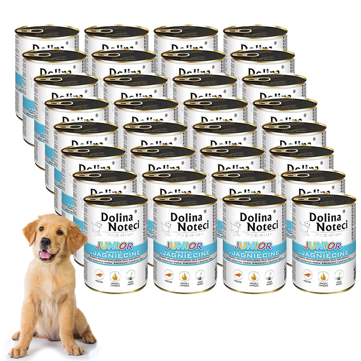 junior_jagniecina_24.png 5a66c99c1a6e2c026350d4f9d5cdb73c