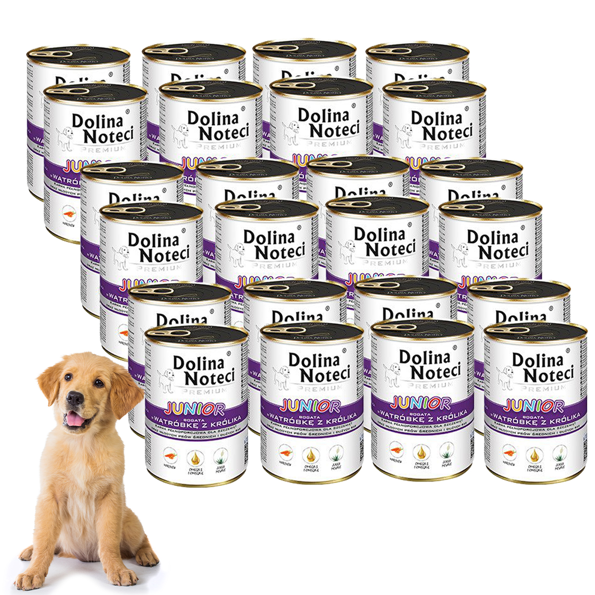 junior_krolik_24.jpg 100916c6d7a31f7f90bad6dc98067330