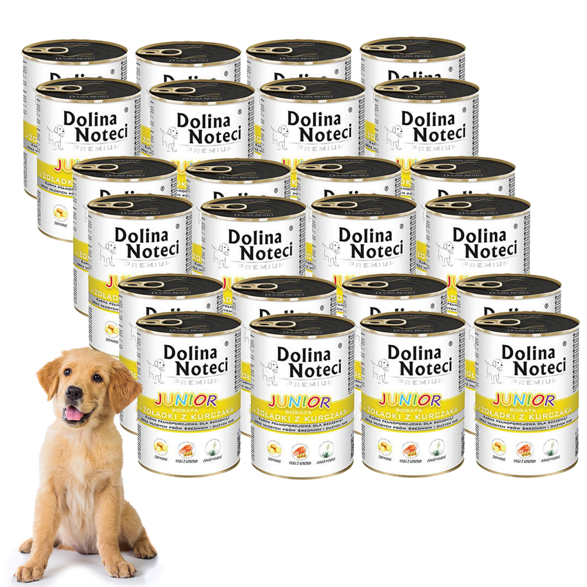 junior_kurczak_24.jpg 47756a259b16a44e5a4e97309fe303cc