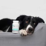 6d860bf7a56e4e14f11273d6cd492977