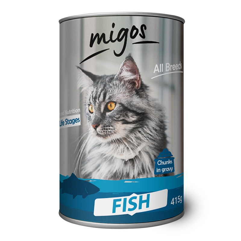 migos_cat_fish2_11.png ed2d58f00765ad6498773b9aebae0b27