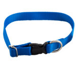 53139388ecf2ad4c8fca5b62c819f753