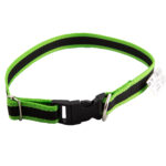 98a9d5c469572d781ed1e0dd874f5654