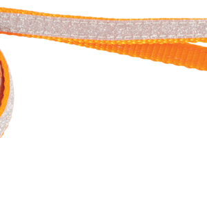 c2b0af23a5fcf913122a14da9a405ce0