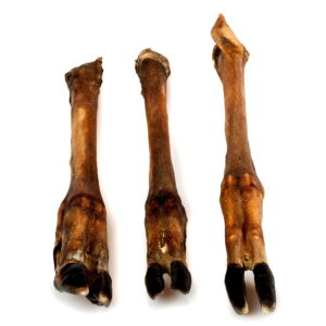 1a86f4aac08bae42fd993fe8a7750554