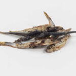 4e09066fcb12d07813fda0f60bf8cf9b