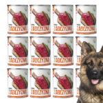 fccddcd0696ae08c203dce2f7c1444f3